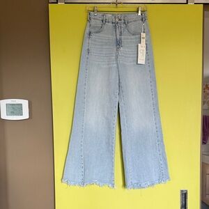 Pilcro Adi Reginerative Cotton Mid-Rise Flate Jeans Size 25